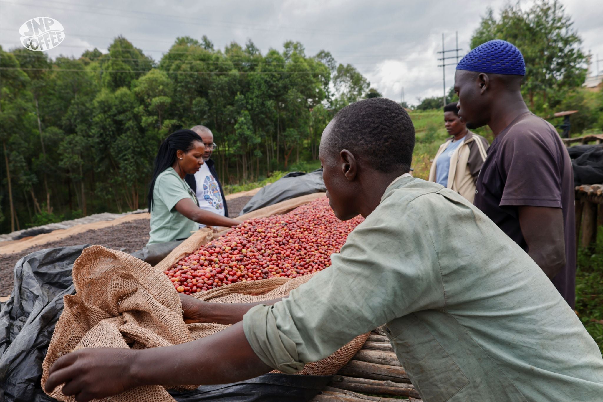 Bayeyi IV Red Bourbon - Burundi, Natural