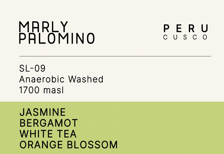 Marly Palomino SL-09 - Peru, Anaerobic Washed